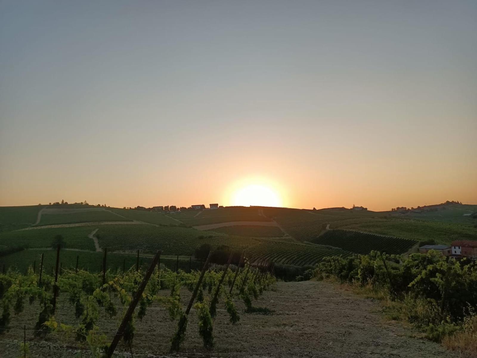 1929 Wine Food Relax Agriturismo Acqui Terme Exterior photo